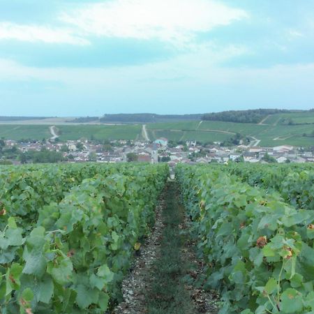 Une Parenthese En Champagne Jaucourt Εξωτερικό φωτογραφία