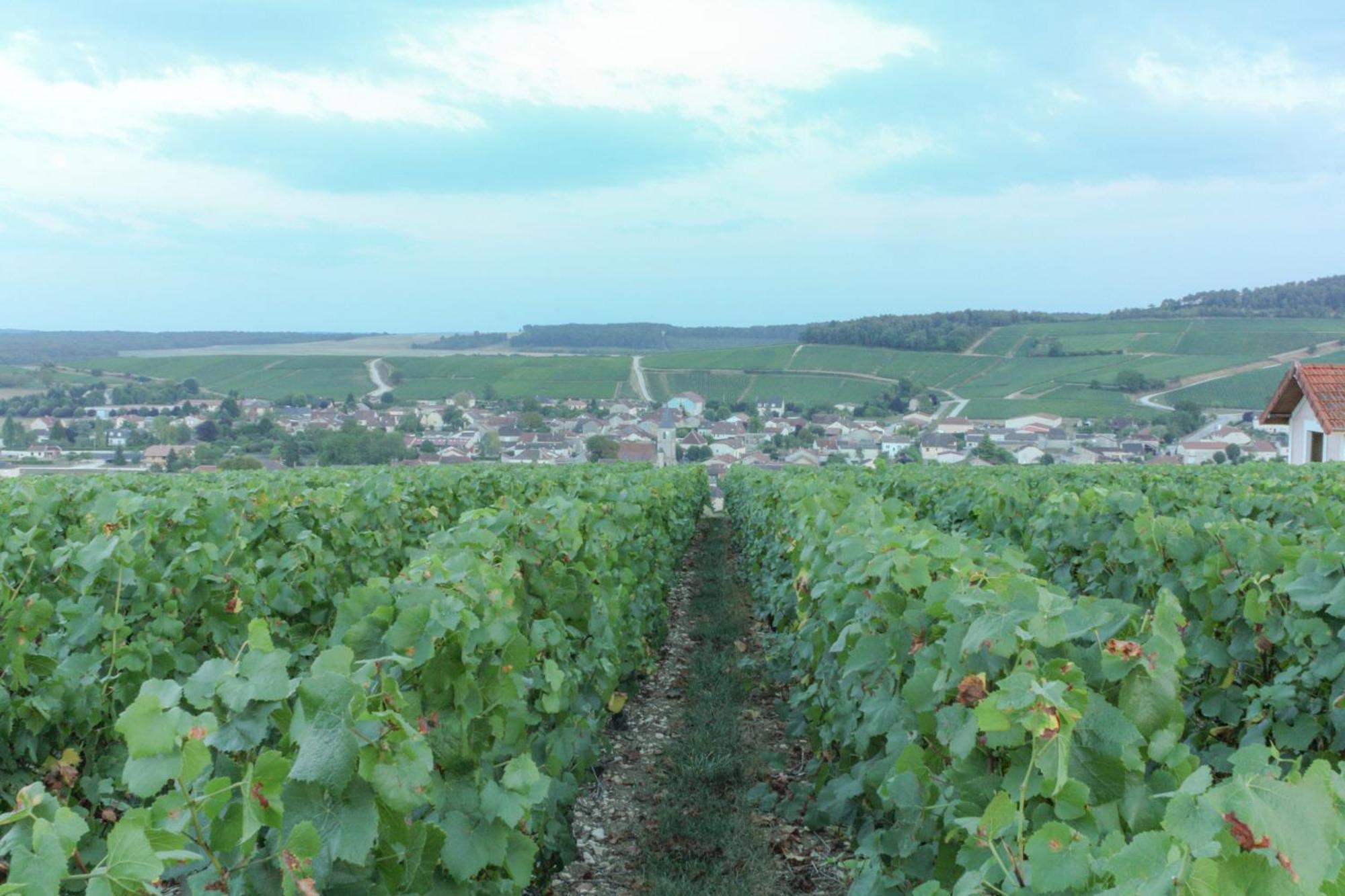 Une Parenthese En Champagne Jaucourt Εξωτερικό φωτογραφία